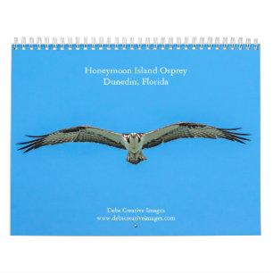 2027 Honeymoon Island Osprey Florida-wildlife Kalender