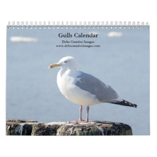 2027 Hudson River Gulls Natuurfotografie Kalender