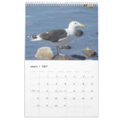 2027 Hudson River Gulls | Natuurfotografie Kalender (Mar 2027)