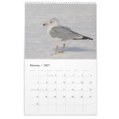 2027 Hudson River Gulls | Natuurfotografie Kalender (Feb 2027)