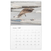 2027 Hudson River Gulls | Natuurfotografie Kalender (Jan 2027)