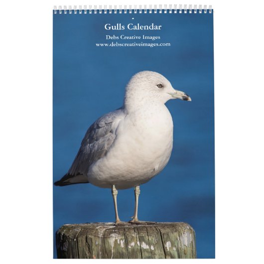 2027 Hudson River Gulls | Natuurfotografie Kalender (Hoes)