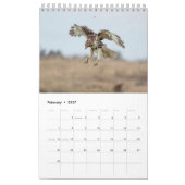2027 Hudson Valley Rode Staartbuizerds | Wilde lev Kalender (Feb 2027)