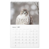 2027 Hudson Valley Rode Staartbuizerds | Wilde lev Kalender (Jan 2027)
