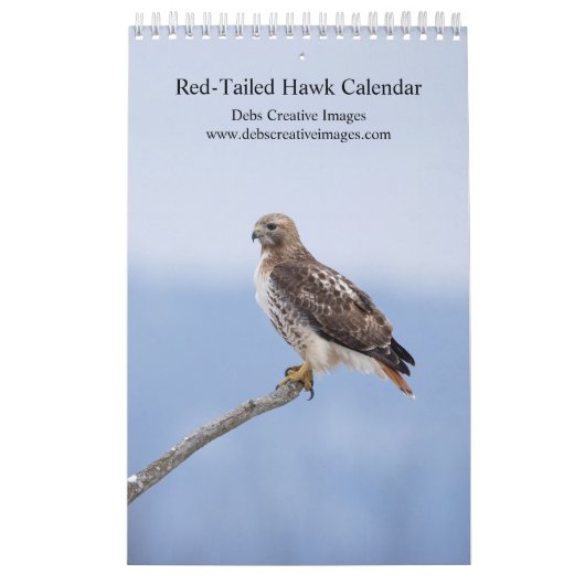 2027 Hudson Valley Roodstaartbuizerd Kalender (Hoes)