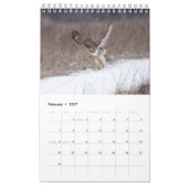 2027 Hudson Valley Roodstaartbuizerd Kalender (Feb 2027)
