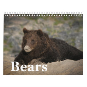 2027 Iconische Grizzlybeer-foto Kalender