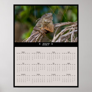 2027 Iguana Wandkalender - Florida Wildlife Poster