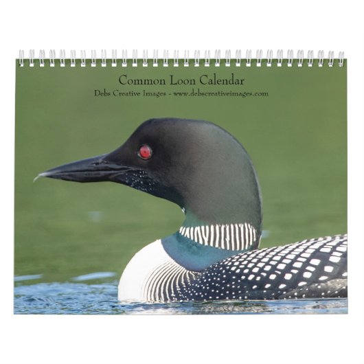 2027 Ijsduikers | Adirondack-meerfotografie Kalender (Hoes)