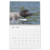 2027 Ijsduikers | Adirondack-meerfotografie Kalender (Mar 2027)