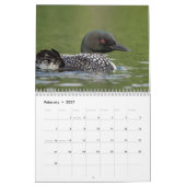 2027 Ijsduikers | Adirondack-meerfotografie Kalender (Feb 2027)