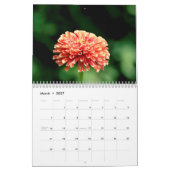 2027 In de Tuin | Vlinders & Kolibries Kalender (Mar 2027)