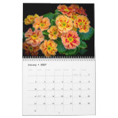 2027 In de Tuin | Vlinders & Kolibries Kalender (Jan 2027)