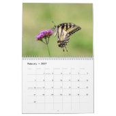 2027 In de Tuin | Vlinders & Kolibries Kalender (Feb 2027)