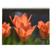 2027 Kalender (Hoes)