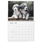 2027 Kalender met Baardshepherds (Feb 2027)