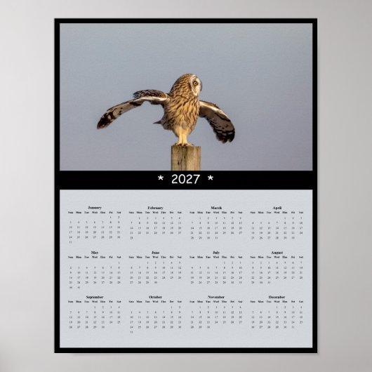 2027 Kalender Velduil - Stille Vlucht Poster (Voorkant)