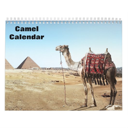 2027 Kamelekalender Kalender (Hoes)