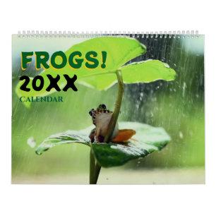 2027 Kikkers in de natuur wandkalender Schattig Kalender