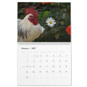 2027 Kippen Muurkalender Schattig Kalender (Feb 2027)