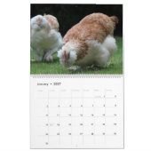 2027 Kippen Muurkalender Schattig Kalender (Jan 2027)