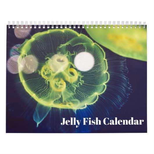 2027 Kwallen Kalender (Hoes)