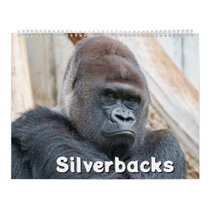 2027 Legendaire Zilverrug Gorilla Fotografie Kalender