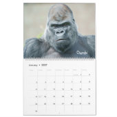 2027 Legendaire Zilverrug Gorilla Fotografie Kalender (Jan 2027)