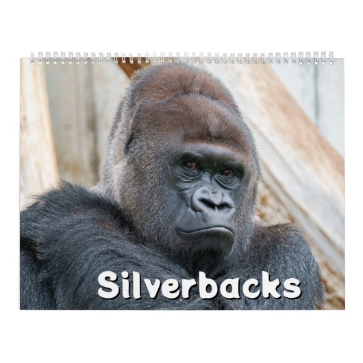 2027 Legendaire Zilverrug Gorilla Fotografie Kalender (Hoes)