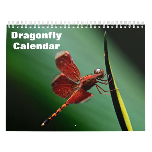 2027 Libellen Kalender (Hoes)