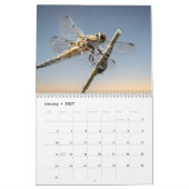 2027 Libellen Kalender (Jan 2027)