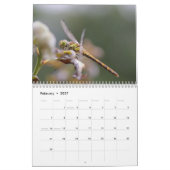 2027 Libellen Kalender (Feb 2027)