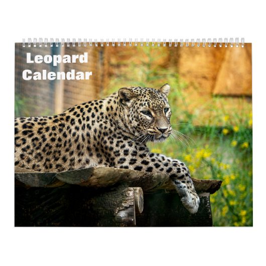 2027 Luipaard Kalender (Hoes)