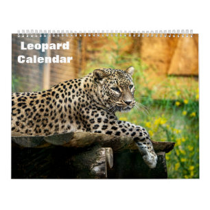 2027 Luipaard Kalender