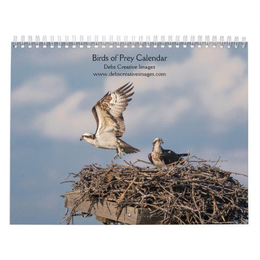 2027 Majestueuze Roofdieren | Roofvogels Kalender (Hoes)