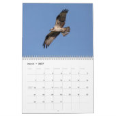 2027 Majestueuze Roofdieren | Roofvogels Kalender (Mar 2027)