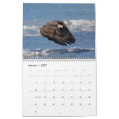 2027 Majestueuze Roofdieren | Roofvogels Kalender (Jan 2027)