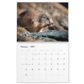 2027 Marmots Kalender (Feb 2027)