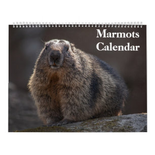 2027 Marmots Kalender