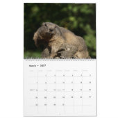 2027 Marmots Kalender (Mar 2027)