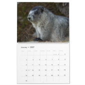 2027 Marmots Kalender (Jan 2027)