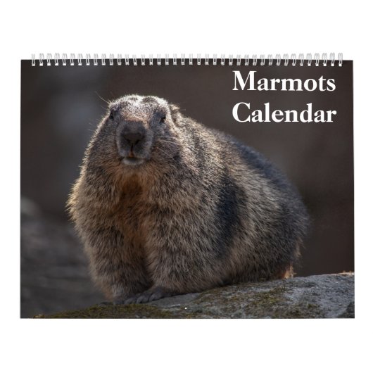 2027 Marmots Kalender (Hoes)