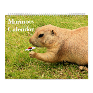 2027 Marmots Kalender