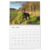 2027 Mooie Dobermanns Kalender (Mar 2027)