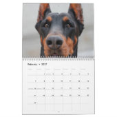 2027 Mooie Dobermanns Kalender (Feb 2027)
