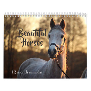 2027 Mooie Paarden Kalender
