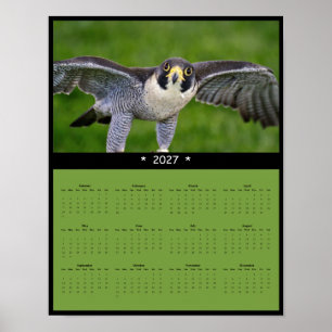 2027 Muurkalender Slechtvalk Poster
