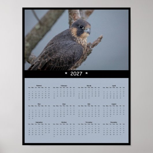2027 Muurkalender Slechtvalk Poster (Voorkant)