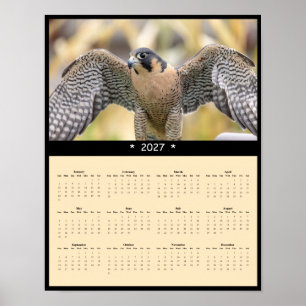 2027 Muurkalender Slechtvalk - Sky Hunter Poster