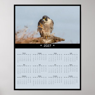 2027 Muurkalender Slechtvalk - Speed Master Poster